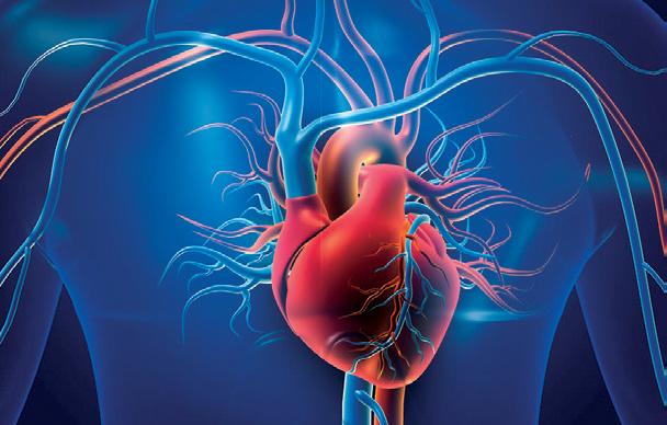 Edwards Lifesciences launches next-gen transcatheter heart valve platform in India